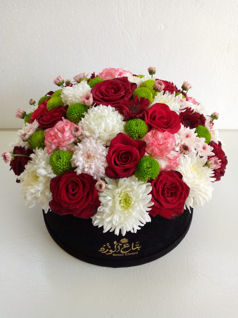 IMG-20260207-WA0006 IMG-20260207-WA0006