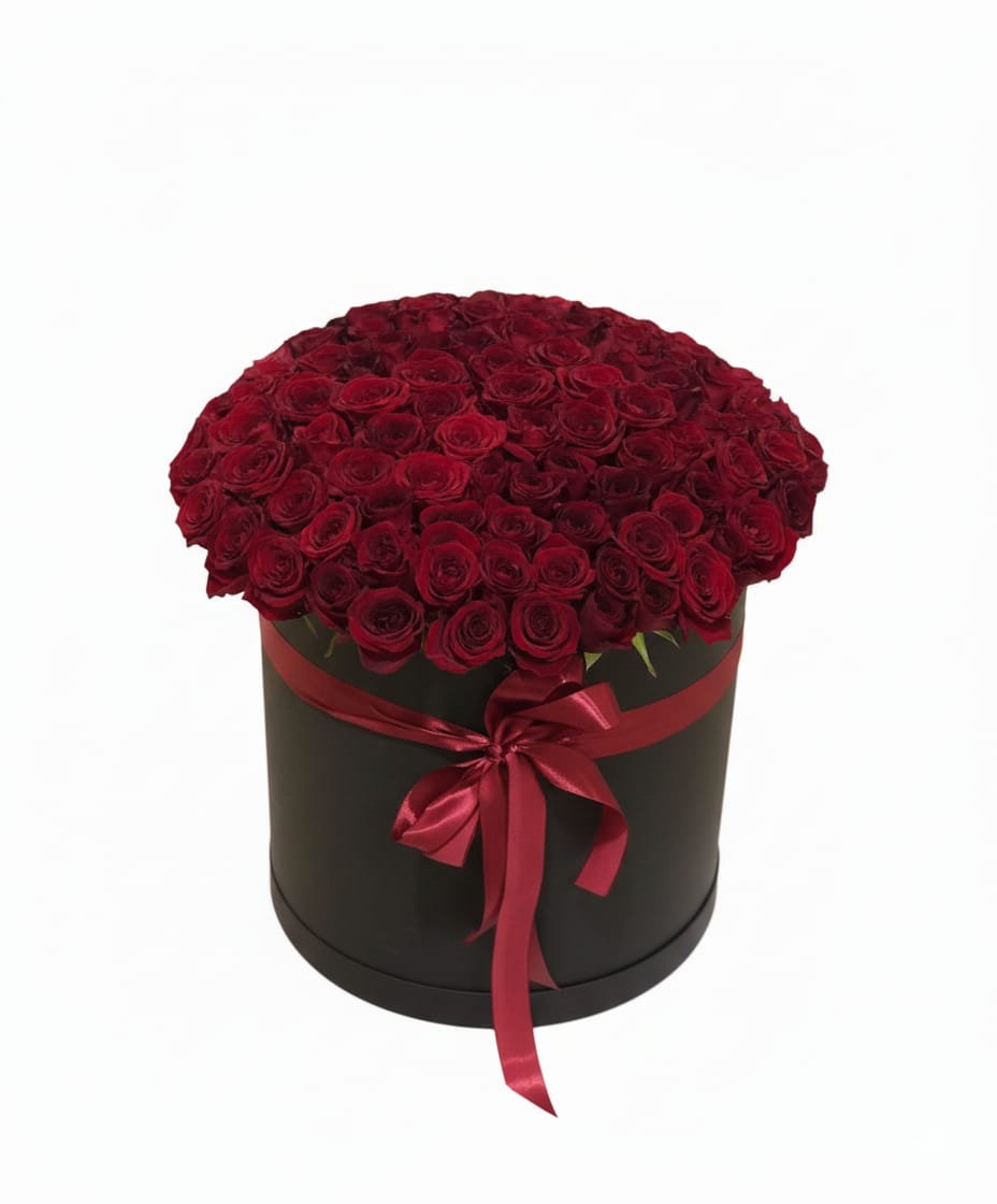 WhatsApp Image 2026-02-05 at 9.01.28 PM WhatsApp Image 2026-02-05 at 9.01.28 PM